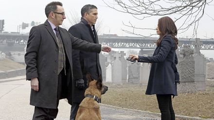 Person Of Interest S F Im Tv Programm Warner Tv